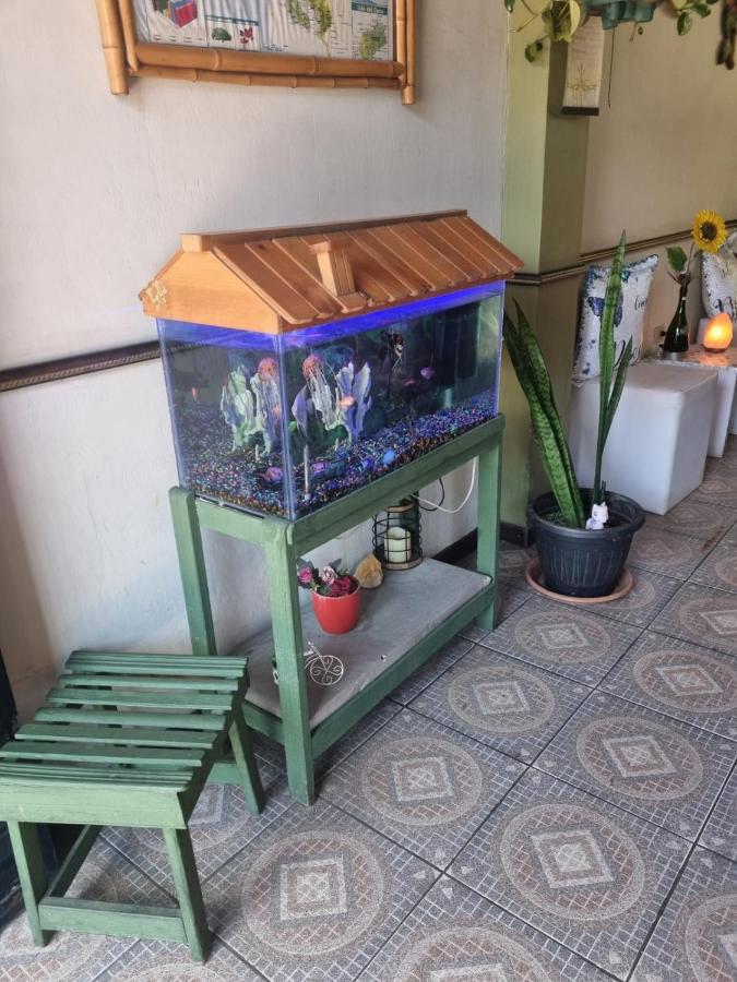 Río Segundo Hotel Paradise Alajuela מראה חיצוני תמונה